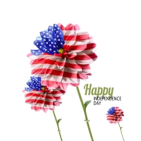 Independence Day (USA)