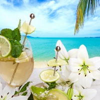 â™¥Tropical Drinkâ™¥