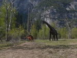 Dinos in Yosemite Park