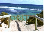 Rottnest Island Western Australia