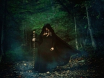 Witch In The Woods