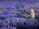 Beauty in a field of lavender