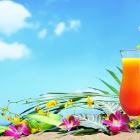 â™¥Tropical Paradiseâ™¥