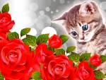KITTY WITH RED ROSES