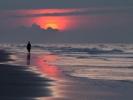 Lonely walk at sunrise