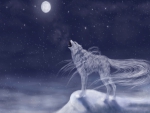 Wolf Spirit