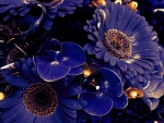 Blue Flowers