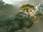 Tree Among the Clouds