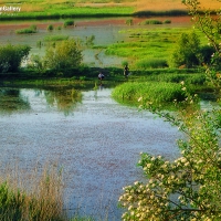 Zrebar-Lake,Marivan,kurdistan,iran,Dler,Mardokhi,Mariwangallery
