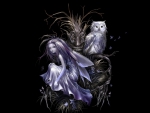 Fairy And Owl