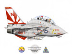 F-14 Tomcat!