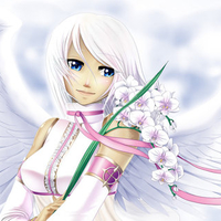 The Light of Everything