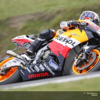 Pedrosa-06-3