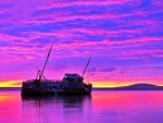 PURPLE SUNSET