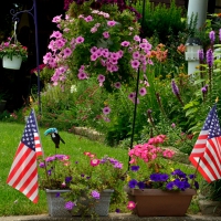 Red White and Blue Summer