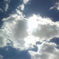 gods created natyral goods in time...ciao...besh..,