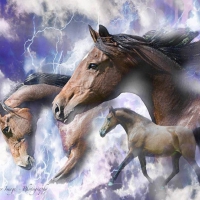 LIGHTNING HORSES