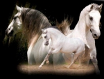 FANTASY HORSES