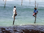 Stilt Fishermen