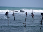 Stilt Fishermen