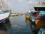 Hikkaduwa Harbour 2