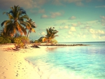 â™¥Tropical Paradiseâ™¥