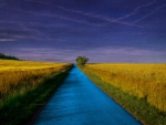 Blue Road
