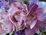 Loveliness in Pink & Purple