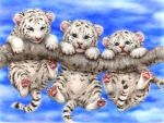 Funny white tigers