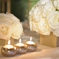 â—â—â— Sophisticated Evening â—â—â—