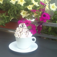 good capuchino time...besh...ciao