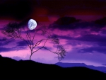 purple haze and moonlight