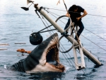 JAWS