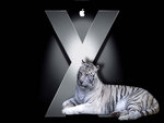 Apple OSX - White Tiger