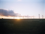 Windfarm Sunset