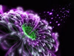 Beautiful Abstract Flower