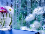 Rainy Day â™¥