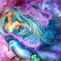 'Flutter in the Sky'