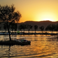 Zrebar,Lake,Marivan,Kurdistan,Iran,Dler,Mardokhi,MariwanGallery