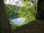 Hidden lake, Soderasen National Park (Sweden)