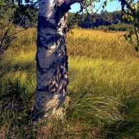 Sunny Late September Afternoon