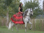 Paso Fino Horse and Cowgirl