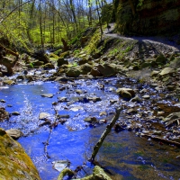 Springtime Stream at Parfreys Glen