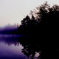 Imaginary Morning, Sunrise Silhouettte