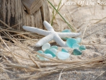 Sea Glass