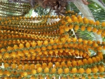 Buriti palm flower