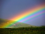 Wonderful Colored Rainbow