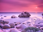 COASTAL PINK SUNSET