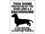 Dachshund