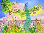 âœ¬Peacock in Magnoliaâœ¬